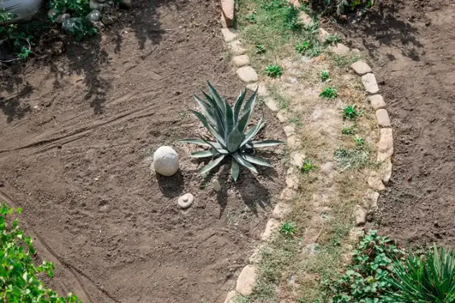 How Landscape Installation Improves Property Drainage Yucca Valley, CA How Landscape Installation Improves Property Drainage Yucca Valley, CA