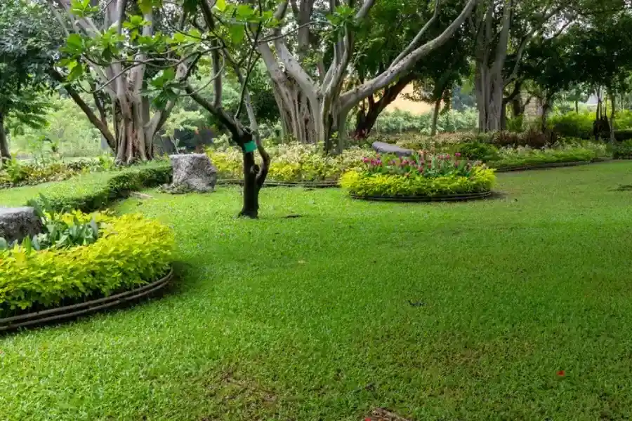 Superior Landscape Maintenance Yucca Valley, CA Superior Landscape Maintenance Yucca Valley, CA